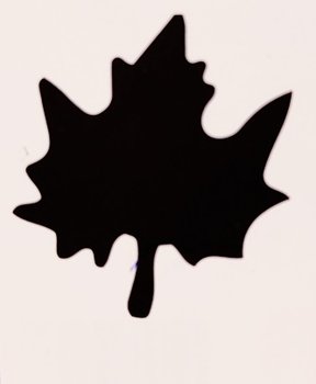 DZIURKACZ KLON LIŚĆ KLONU OZDOBNY 7,6 CM brewis