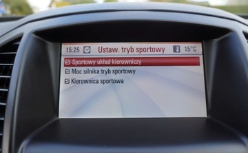 Opel Insignia I Sports Tourer 1.6 Turbo ECOTEC 180KM 2009 Opel Insignia Bezwypadkowy Serwisowany 1-Wlasciciel Navi Sport Xenon Turbo, zdjęcie 22