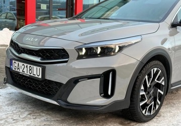 Kia XCeed 2025 Kia XCeed MY26 wersja TRIBUTE WINTER dostepny od reki w kolorze WOLF GREY, zdjęcie 9