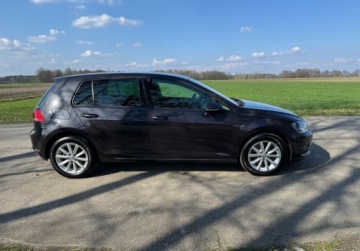 Volkswagen Golf VII Hatchback 3d 1.6 TDI BlueMotion 110KM 2015 Volkswagen Golf Bezwypadkowy, nowe sprzeglo, LOUNGE 1.6 Diesel 110KM, zdjęcie 3