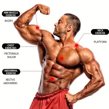 Пружина для силовых упражнений STRONG ROMAN Эспандер пружинный TWISTER 50 кг