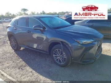 Lexus NX II 2024 Lexus NX 250 PREMIUM, 2024r., 2.5L 2.5 Benzyna 203KM
