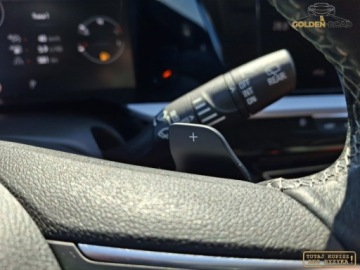 Opel 2022 Opel Grandland 1,5 hdi 130KM automat navi kamera masaz led oplacony 1.5, zdjęcie 20