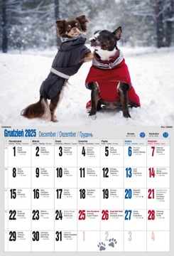 НАСТЕННЫЙ КАЛЕНДАРЬ 2025 А3 СОБАКА СОБАКИ СОБАКИ СОБАКА Пудель ШИБА ХАСКИ