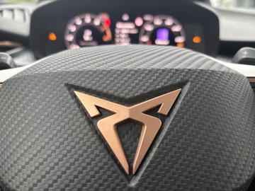 Cupra Terramar SUV 1.5 eTSI 150KM 2025 Cupra Terramar 1.5 eTSI 150 KM Advantage Edition 7, zdjęcie 18