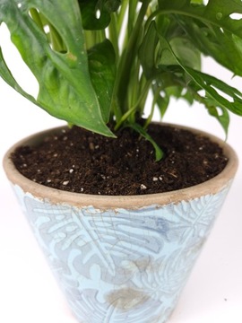 Грунт для субстрата ZAMIOKULKAS 5л