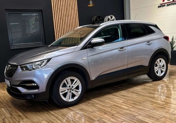 Opel 2019 Opel Grandland X 130 KM manual BEZWYPADKOWY gwarancja ZAREJESTROWANY, zdjęcie 12