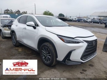 Lexus NX II 2024