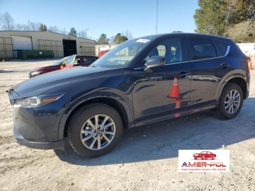 Kia Sorento IV 2024 Kia Sorento 2024 2.5L AWD 2.5 Benzyna 250KM