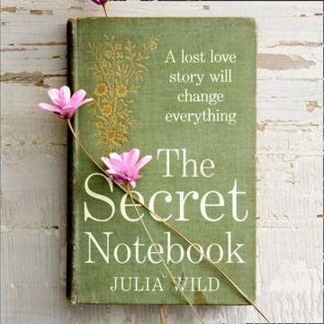 Secret Notebook - Wild, Julia AUDIOBOOK