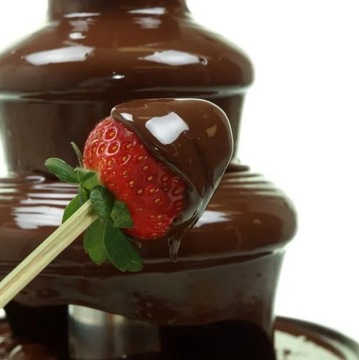 ФОТОКАБИНА 22 ФУТА + ШОКОЛАДНЫЙ ФОНТАН - КОМПЛЕКТ