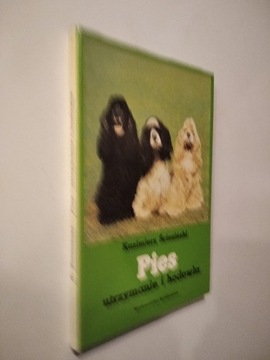 Pies utrzymanie i hodowla - Kazimierz Ściesiński