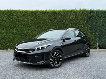 Kia XCeed 2025 KIA XCeed 1.6 T-GDI Tribute DCT Crossover 150KM 2025