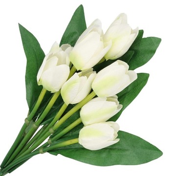 TULIPANY BUKIET TULIPANÓW TULIPAN LIŚCIE DUŻY