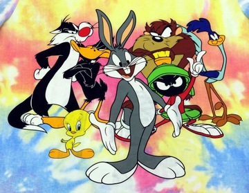 Looney Tunes Zwariowane Melodie Sukienka Tunika