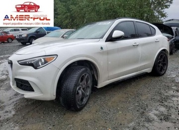 Alfa Romeo Stelvio 2018 Alfa Romeo Stelvio Quadrifoglio 2018 2.9l 2.9 Benzyna 505KM
