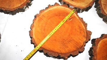 ДЕРЕВЯННЫЙ SLICE, ДИСК ДЛЯ БЕРЕЗОВОЙ ШТАМПЫ, 25-30 СМ, 1 ШТ.