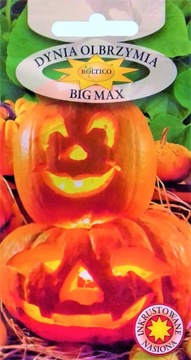 Dynia olbrzymia Big Max nasiona 3g