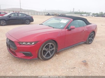 Ford Mustang VI 2024 Ford Mustang 2024r, 2.3L, Premium, Ecoboost 2.3 Benzyna 315KM, zdjęcie 1