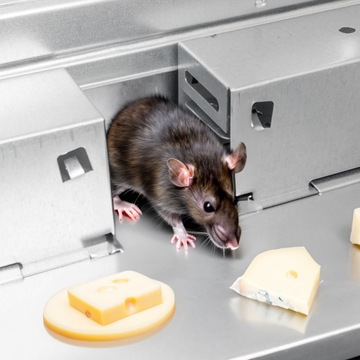 Миликулярная мышиная ловушка