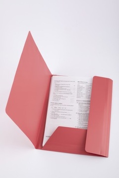 ПЛАСТИКОВАЯ ПИЛКА D.RECT ​​С ЛАСТИКОМ MIX, 6 цветов