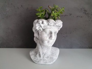 Крышка Цезаря Голова Цветочный Горшок Украшение Чаша ПОДАРОК