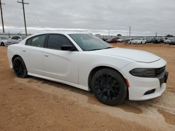Dodge Charger VII 2019 Dodge Charger RT 2019 5.7l 5.7 Benzyna 370KM, zdjęcie 4
