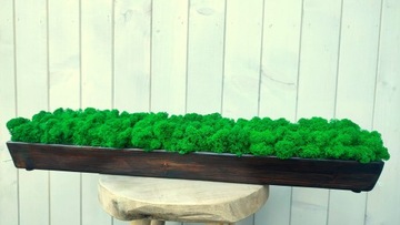 Деревянный цветочный горшок 60 см с КРЕСТОВЫМ МХОМ, длинный, натуральный мох.