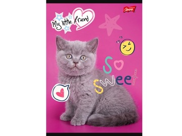 Zeszyt MY LITTLE FRIEND LINIA DWUKOLOROWA 32 Kartki w linię KOT Kotek MIX