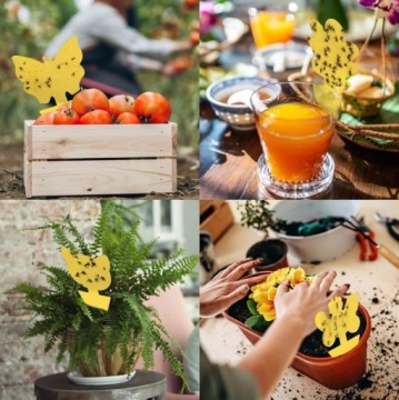 ПАП ДЛЯ ТЕПЛИЧНЫХ ГОРШКОВ ОТ ТЛИ, НАЗЕМНЫХ КРУЖЕК, МУРАВЕЙ, МУРАВЬЕВ, 12 ШТ.