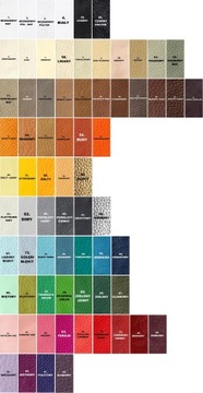 ASHED BEIGE 71 ASHED RENOSKIN КРАСКА 200 мл WILBRA ЛАК ДЛЯ КОЖИ