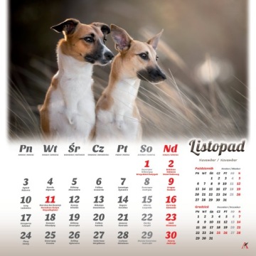 НАСТЕННЫЙ КАЛЕНДАРЬ 2025 АРТ СЕЗОН СОБАКИ СОБАКИ