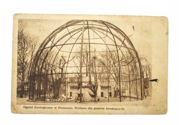 POZNAŃ - OGRÓD ZOOLOGICZNY, PTAKI BRODZĄCE 1928