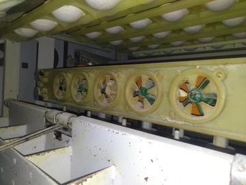 Linia do bułek, WP (kajzerka,stokrotka) GWARANCJA