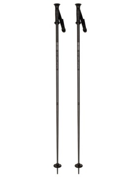 Kije narciarskie Salomon ARCTIC black 130