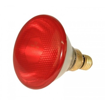 Żarówka Lampa grzewcza 100W promiennik kwoka KERBL