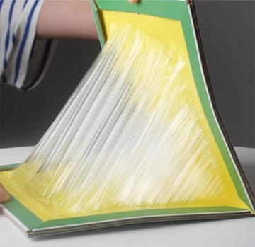 20x ДОРОЛЬНАЯ ЛОВУШКА LEP PAW Мышеловка КРЫСЫ