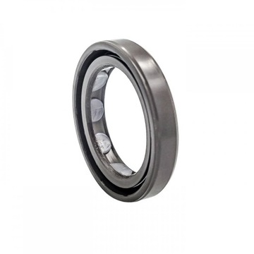 Зиммеринг 25x35x6 BAFSLSF FPM DMHUI 1901002