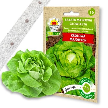 Семена овощей на ленте Firm Butter Lettuce 7м Устойчив к фитофторозу