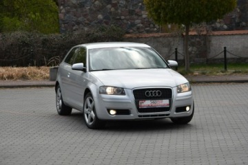 Audi A3 8P Hatchback 3d 1.9 TDI 105KM 2008 Audi A3 3-drzwiowe 1.9TDi 105KM 2008r. Klima, zdjęcie 1