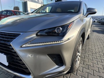 Lexus NX I SUV Facelifting 300h 197KM 2018 Lexus NX 300h Comfort AWD I (2014-2021) NX300h Com, zdjęcie 10