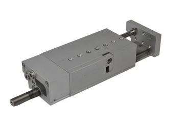 FESTO siłownik z prowadzeniem DGSL-20-80-PA 544010