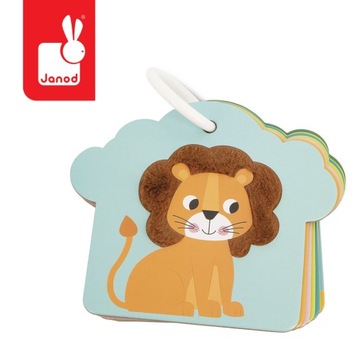 Сенсорные карты Саванны Джанод 12 месяцев+