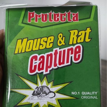 MYSZOŁAPKA LEP ŁAPKA PUŁAPKA NA MYSZY KLEJOWA 10X