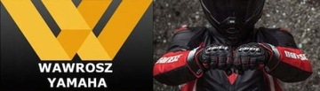 Kombinezon DAINESE Avro 4 rozm 52