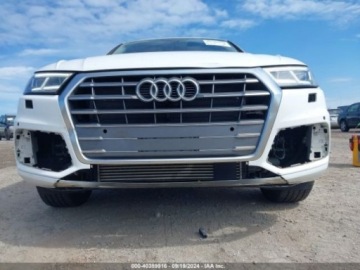 Audi Q5 II 2019 Audi Q5 2019 Audi Q5 Premium Plus 45 TFSI quattro 2.0 Benzyna 248KM, zdjęcie 5