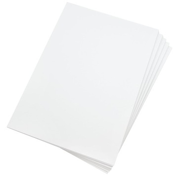 Bristol papier techniczny Biały 170g A4 100ark brystol
