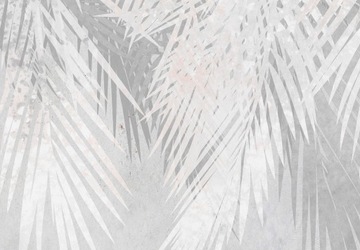 ФОТОобои ПАЛЬМОВЫЕ ЛИСТЬЯ 400x280 b-A-0762-a-a