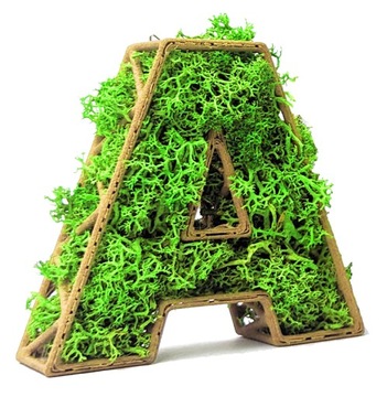 Буква Мох Хроботек S 10см