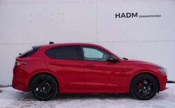 Alfa Romeo Stelvio SUV Facelifting 2023 2.2 JTDM 210KM 2024 Alfa Romeo Stelvio Alfa Romeo Stelvio Tributo Italiano 2.1 Diesel 210KM, zdjęcie 4